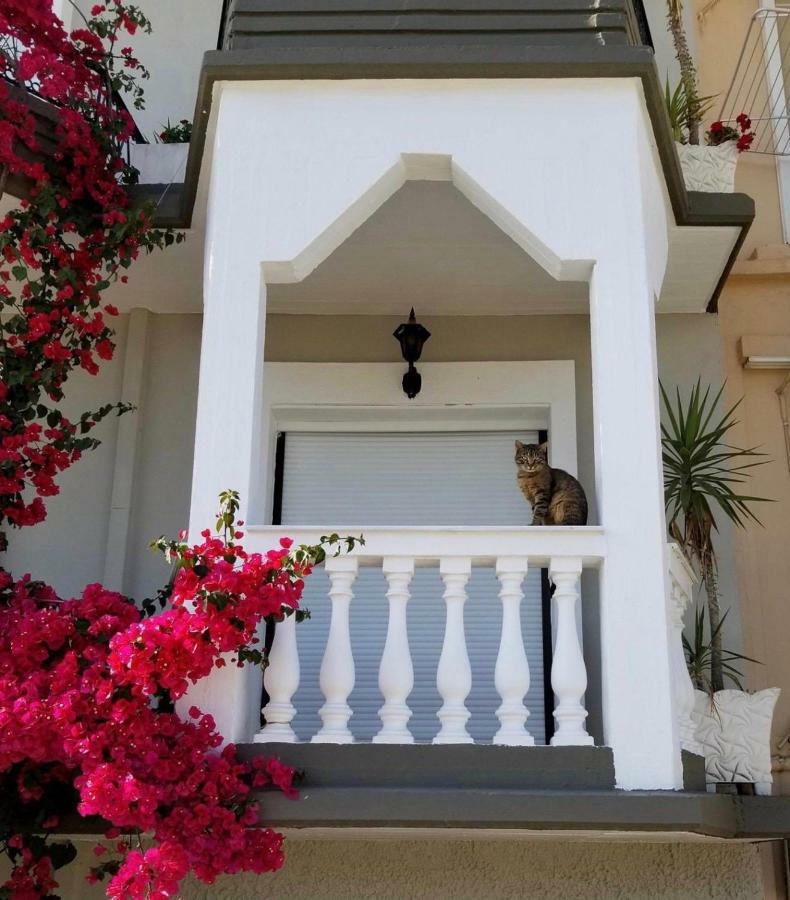 Villa Virozi Sarti Exterior foto